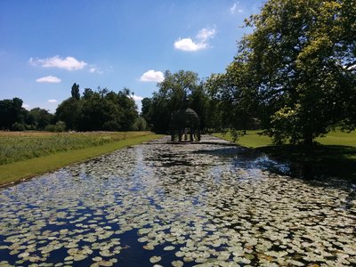 [L'Île d'Amour du parc de Chantilly]