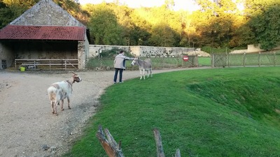 [L'âne et une chèvre de Port-Royal-des-Champs]