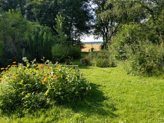 [Une sorte de jardin forestier, avec des champs visibles en arrière-plan]