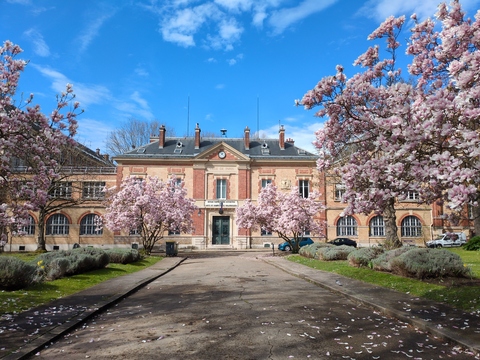 [Magnolias en fleurs devant un bâtiment style fin XIXe]