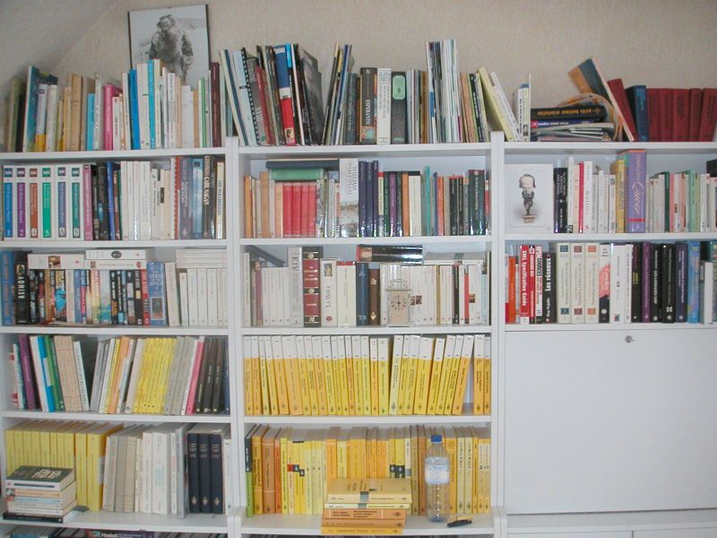 [Book shelves]