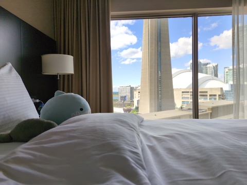 [Vue depuis une chambre d'hôtel]