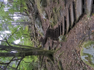 [Escalier montant entre les arbres et les rochers]